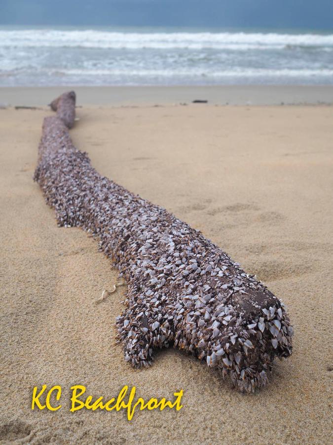 Kc Beachfront Marang Dış mekan fotoğraf